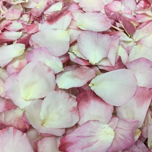 May include: A close-up of a pile of pink and white rose petals. The petals are soft and delicate, with a subtle sheen.