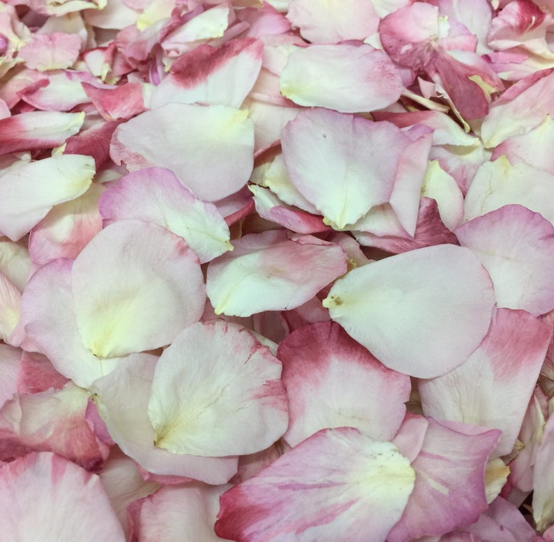 May include: A close-up of a pile of pink and white rose petals. The petals are soft and delicate, with a subtle sheen.