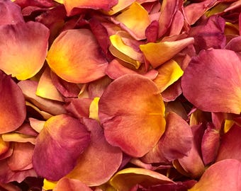 Pétalos de rosa con efecto degradado otoñal. Confeti biodegradable. Confeti liofilizado cultivado en EE. UU. Materiales para manualidades.