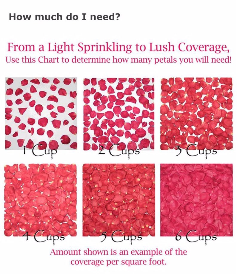 Wedding Proposal Petals. 30 Cups. Red Rose Petals. Marry Me. Etsy