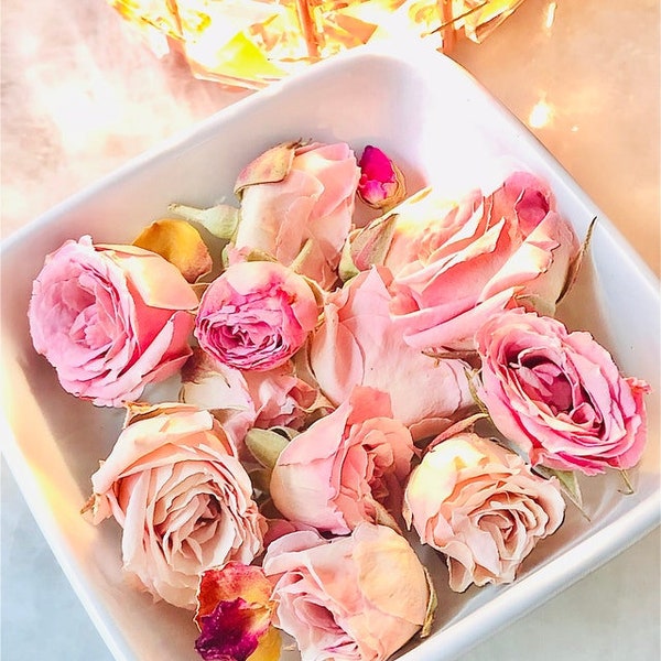 Freeze-dried Small Light Pink Rosebuds. Miniature Roses,Spray Roses,Wedding Decoration, Craft Supply, Dried Flower, Resin Jewelry Supply,USA