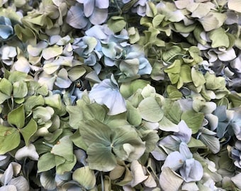 Freeze-Dried Hydrangea Petals: Biodegradable Confetti. 10 Cups. Blue Green Wedding Confetti. USA Grown.