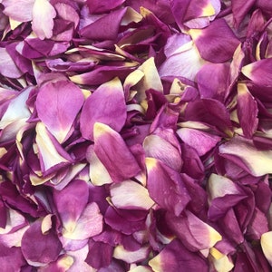 Flirtini Real Rose Petals – 50 Cups | Freeze-dried Eco-Friendly Biodegradable Confetti for Weddings, Aisles, Decor, Crafts | Made in USA