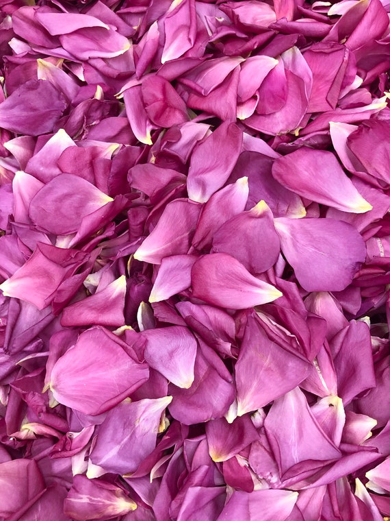 Natural Dried Rose Petals, Biodegradable Real Flower Dry Red Rose Petal For  Foot Bath Body Bath Spa Wedding Confetti Home Fragrance Diy Crafts  Accessories - Temu Germany
