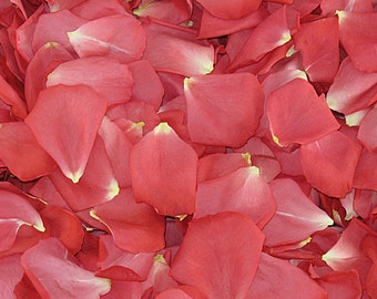 200 cups Passion Pink Petals.Flower Petals.Flower Confetti.Wedding Petals.Rose Petals. Freeze dried Petals.Flower Girl.Natural Confetti. USA
