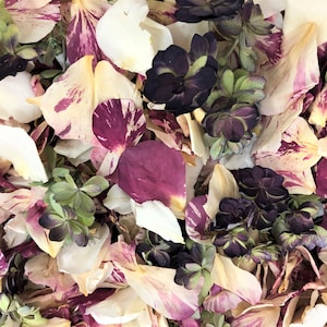 50 cups Peppermint Twist. Rose & Hydrangea Petals. Real Petal Blend.  Rose Petals, Wedding Petals, Natural Confetti. Eco-friendly, USA.