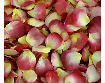 May include: A close-up image of a pile of rose petals. The petals are a mix of pink and yellow.