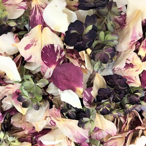 100 cups Peppermint Twist Blend Rose & Hydrangea Petals. Real Petal Blend.  Rose Petals, Wedding Petals, Flower Confetti. Eco-friendly. USA.