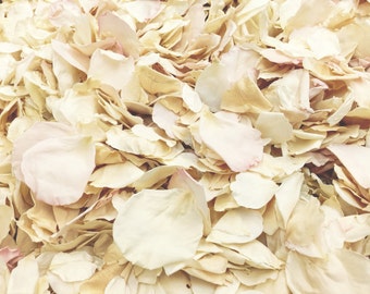 May include: A close-up view of a pile of dried rose petals. The petals are primarily off-white with hints of pink and tan, creating a soft, textured appearance. The petals are scattered, suggesting a natural, organic theme.