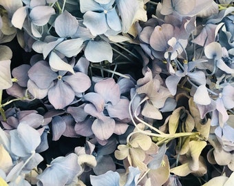 50 cups Blue Hydrangea Petals.  Biodegradable Confetti.  Freeze-dried petals, Wedding, Craft Supplies, USA