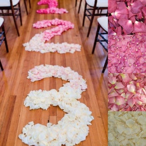 May include: A wedding aisle decorated with rose petals in shades of pink and white, forming the numbers 1, 2, and 3. The petals are arranged in a gradient, starting with the darkest pink at the top and fading to white at the bottom.
