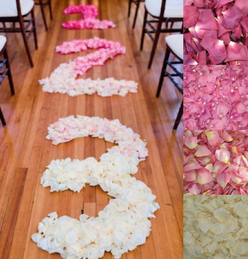 May include: A wedding aisle decorated with rose petals in shades of pink and white, forming the numbers 1, 2, and 3. The petals are arranged in a gradient, starting with the darkest pink at the top and fading to white at the bottom.