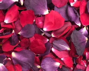 Royal Passion Rose Petals: Red Purple Biodegradable Wedding Confetti (100 Cups)