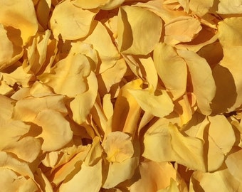 100 cups Yellow Rose Petals.Wedding Petals.Flower Petals.Flower Confetti.Petal Confetti.Real Rose Petals.Flower Girl Petals.Rose Petals. USA