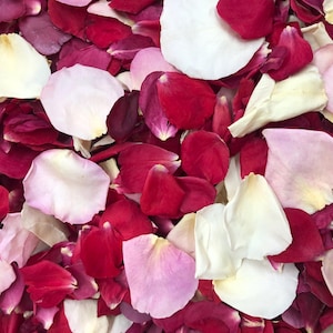 30 Cups Bridal Bliss Freeze-Dried Rose Petals: Natural Wedding Confetti