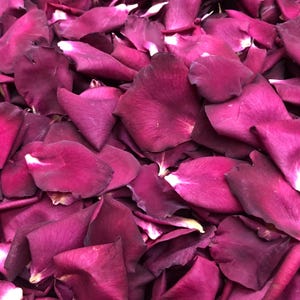 10 cups Cranberry Petals. Wedding Petals. Flower Girl Petals. Freeze dried petals. Rose Petals. Natural Confetti. Flower Girl Petals. USA!