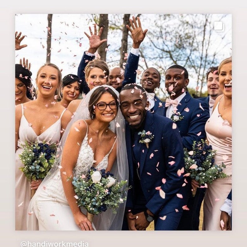May include: A bride and groom pose for a photo with their wedding party. The bride is wearing a white lace dress and the groom is wearing a navy blue suit. The wedding party is throwing pink flower petals in the air. The photo is taken outdoors in a park setting.