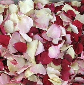 Hot Cocoa Rose Petals.10 Cups. Petals. Wedding Petals. Flower Petals. Real Flower  Petal Confetti. Flower Confetti. Flower Girl Petals. USA 