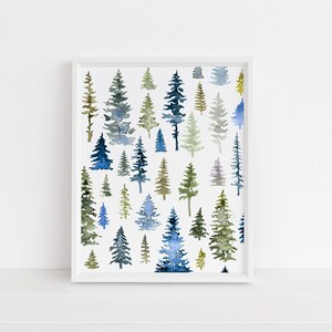 Pine Tree Varieties, Pine Trees, Pines, Woods, Forest
