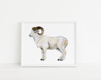 May include: Watercolor painting of a Dall sheep in a white frame. The sheep is depicted in profile, with white fur and brown horns. The artwork is set against a white background, creating a clean and minimalist aesthetic.