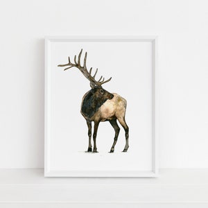 Elk Art Print- Wild Animal, Woodland Animal, Elk, Antler, Watercolor