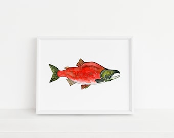 Sockeye Salmon Print- Salmon, Fish, Fishing, Fly Fishing, Salmon, Big Catch