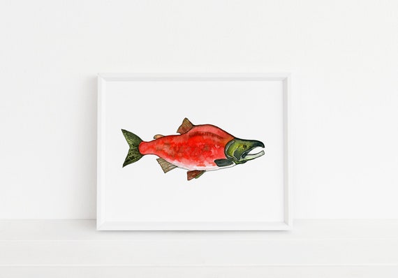 Sockeye Salmon Print Salmon Fish Fishing Fly Fishing | Etsy