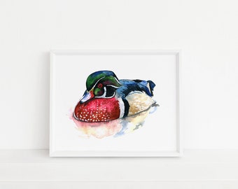 Wood Duck Art Print, Bird, PNW, Home Decor, Wall Decor, Rustic