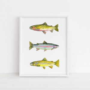 Trout Trio Watercolor Art Print- Fish, Fishing, Fly Fishing, Home Decor, Wall Decor, Trout