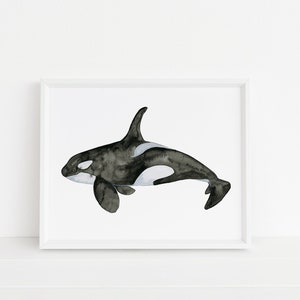Orca Watercolor Art Print - Whale, Killer Whale, Home Decor, Alaska, Ocean, Inside Passage