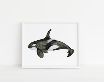May include: A black and white watercolor painting of an orca, or killer whale, swimming in the ocean. The orca is depicted in a side profile, with its dorsal fin and tail fin visible. The painting is framed in a white frame.