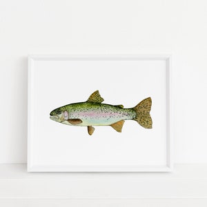 Rainbow Trout Watercolor Art Print - Trout, Fishing, Fish, Fly fishing, Wall Decor, Home Decor