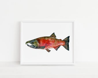 Coho Salmon- Salmon, Alaska, Fish, Fishing, Fly Fishing