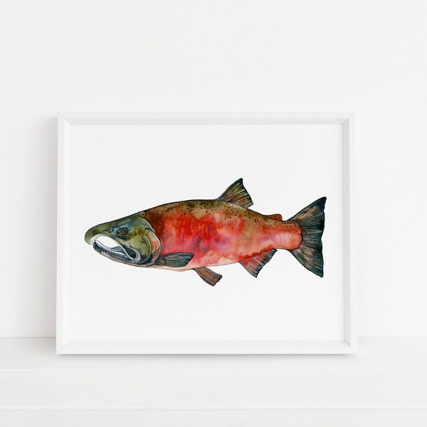 Coho Salmon- Salmon, Alaska, Fish, Fishing, Fly Fishing