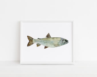 Lake Trout- Watercolor Art Print, Trout, Fishing, Fish, Fly fishing, Father's Day, wall art