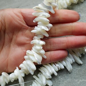 May include: A necklace of white, irregular shell beads. The beads are strung on a clear string, held in a hand. The beads have a pearlescent sheen and a rough texture. The background is a grey surface.