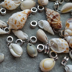 Natural Shell Pendant Charm, Mixed Shells with Antique Silver Bail Finding