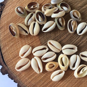 Sliced Cowrie Shell Beads, Natural Cut Seashells for Jewelry Making