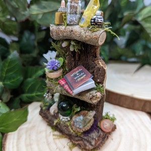 Fairy Bookshelf, Fairy Garden Accessories, Fairy Garden Book Shelf, Fairy Furniture, Fairy Garden Miniatures, Fairy Bookshelf with Potions, @WeeWorldConstruction, #goblincore, #fairygarden, #fairyfurniture #fairybooks #fairygarden #fairyminiatures