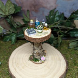 May include: A miniature wooden table with a tree trunk base and a round wooden top. On the table are several small glass bottles, a crystal ball, a book titled "Spells & Potions", and a white wand.