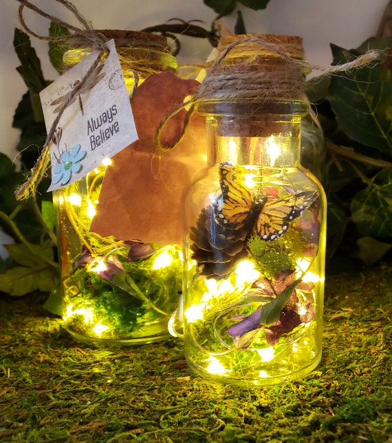 Fairy Glow-In-The -Dark JAR Lights