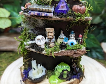 Halloween Fairy Bookshelf, Fairy Garden Accessories, Fairy Garden Book Shelf, Fairy Furniture, Fairy Garden, Mini Fairy Bookshelf w/ Potions