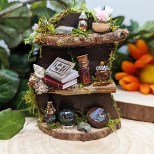 Fairy Bookshelf, Fairy Garden Accessories, Fairy Garden Book Shelf, Fairy Furniture, Fairy Garden, Mini Fairy Bookshelf with Potions