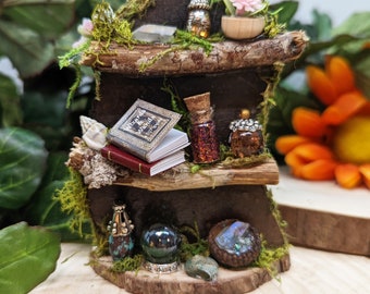 Fairy Bookshelf, Fairy Garden Accessories, Fairy Garden Book Shelf, Fairy Furniture, Fairy Garden, Mini Fairy Bookshelf with Potions
