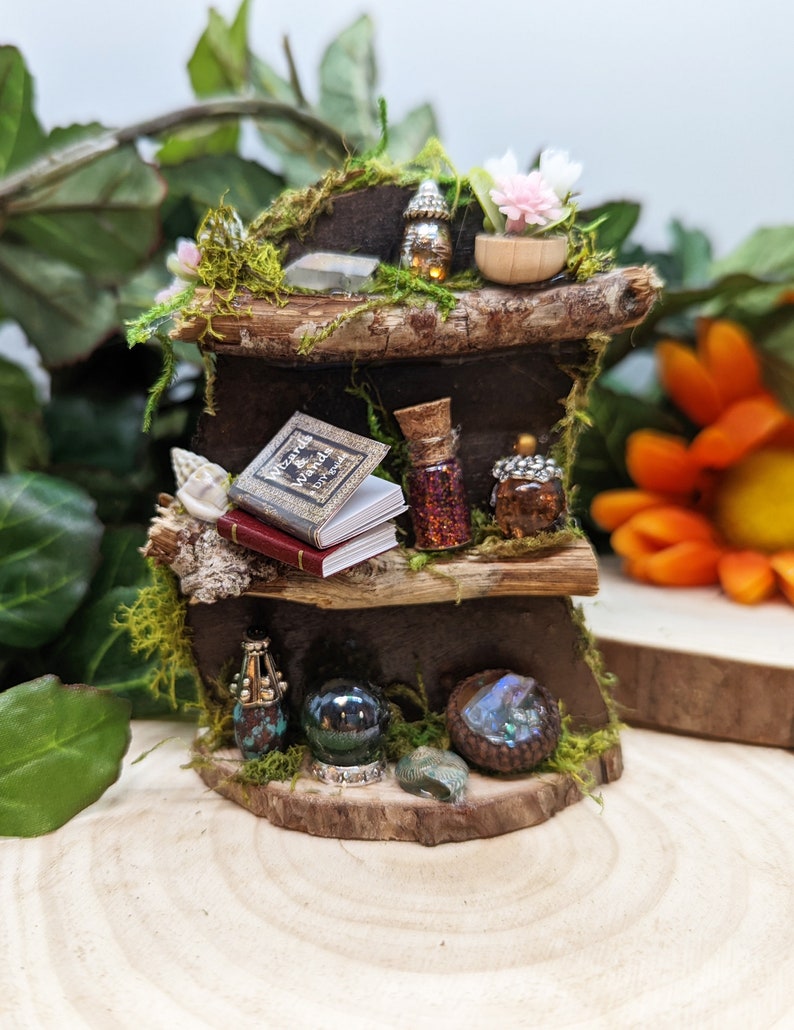 Fairy Bookshelf, Fairy Garden Accessories, Fairy Garden Book Shelf, Fairy Furniture, Fairy Garden Miniatures, Fairy Bookshelf with Potions, @WeeWorldConstruction, #goblincore, #fairygarden, #fairyfurniture #fairybooks #fairygarden #fairyminiatures