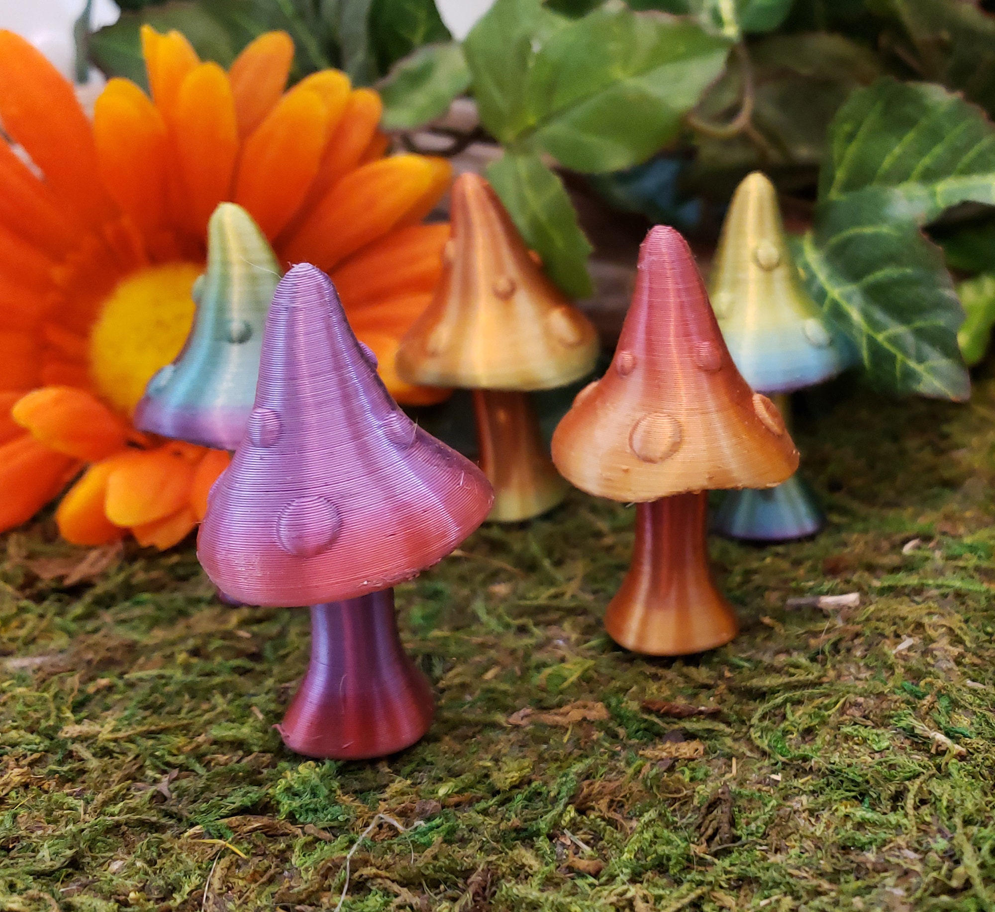 3 Champignons De jardin