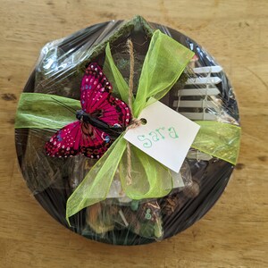 Fairy Garden Kit with Fairy House and lots of Fairy Garden Accessories for your own Fairy Garden