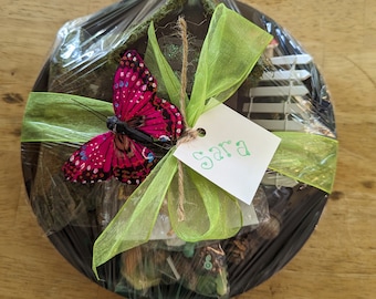 Fairy Garden Starter Kit: Glowing Fairy House & Accessories