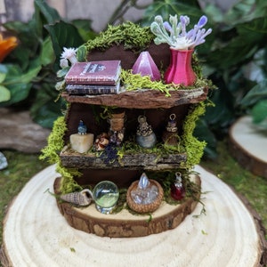 May include: A miniature wooden shelf with moss and crystals, featuring a book titled "The Encyclopedia of Double Life", a glass orb, a seashell, and a small vase with purple flowers.