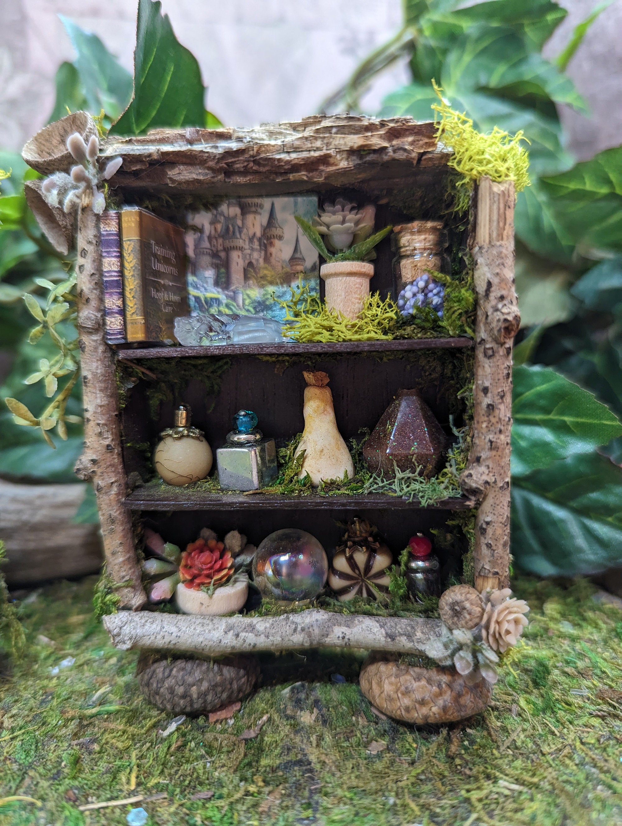 Estantería de hadas en miniatura hecha a mano con pociones - Etsy México, image size:2000x2656